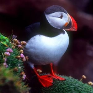 Meet your Posher, Jillian